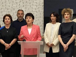 არასამთავრობო ორგანიზაციების წარმომადგენლები