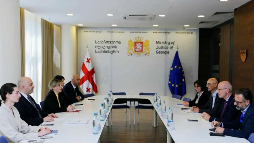 იუსტიციის მინისტრის მოადგილე