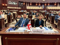 საქართველოს საპარლამენტო დელეგაცია