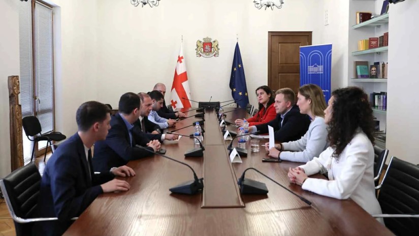 გივი მიქანაძე და გიორგი ჩაკვეტაძე უნგრეთის მმართველი პარტიის ახალგაზრდული ორგანიზაციის  წევრებს შეხვდნენ 