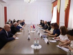 საქართველოს პარლამენტის დელეგაცია