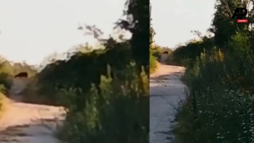 ბულგარეთი