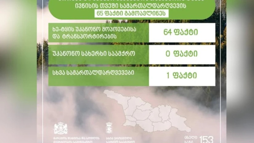 ეროვნული სატყეო სააგენტო ეროვნული სატყეო სააგენტო