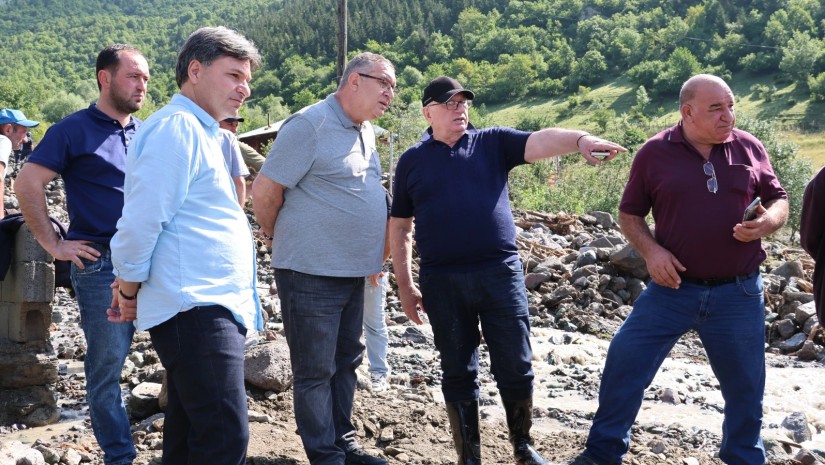 სტიქიის ზონა