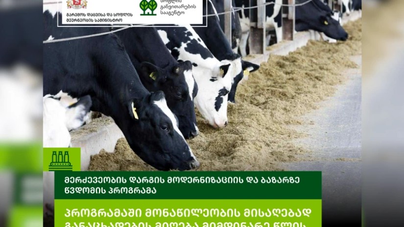 მერძევეობის დარგი