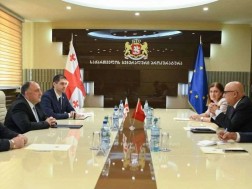 გიორგი გვარაკიძე