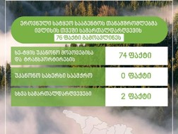 ეროვნული სატყეო სააგენტო