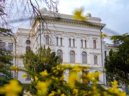 სახელმწიფო უნი