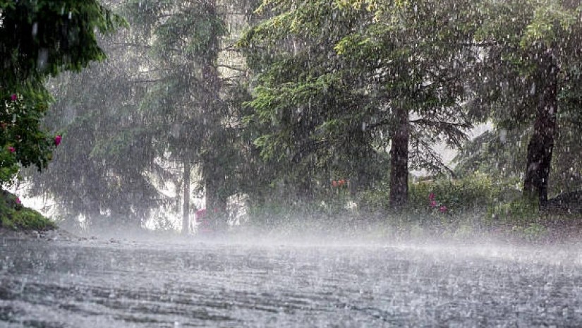 წვიმიანი ამინდი 