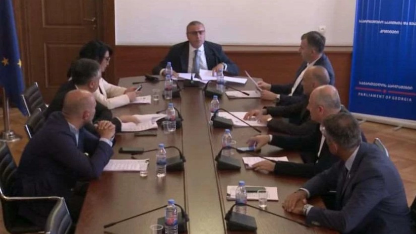 საპროცედურო საკითხთა კომიტეტი საპროცედურო საკითხთა კომიტეტი