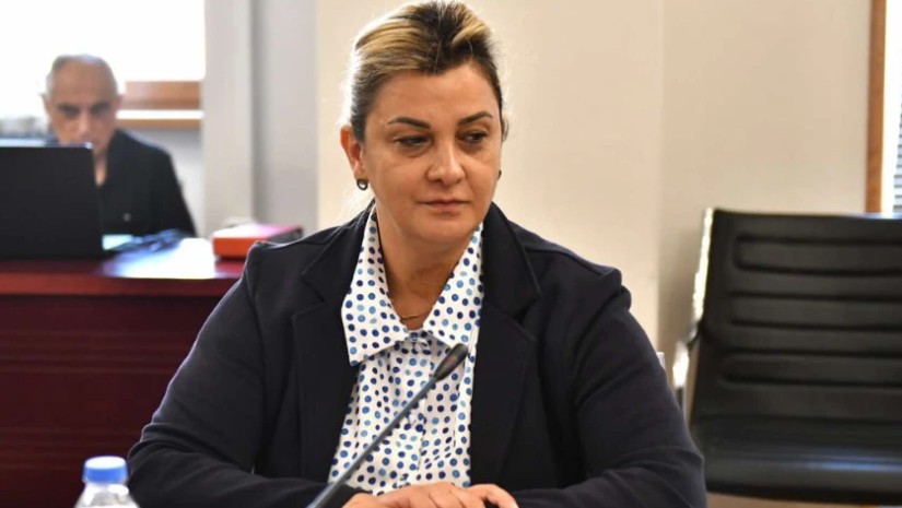 ნინო ენუქიძე