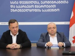 დავით კაიკაციშვილი
