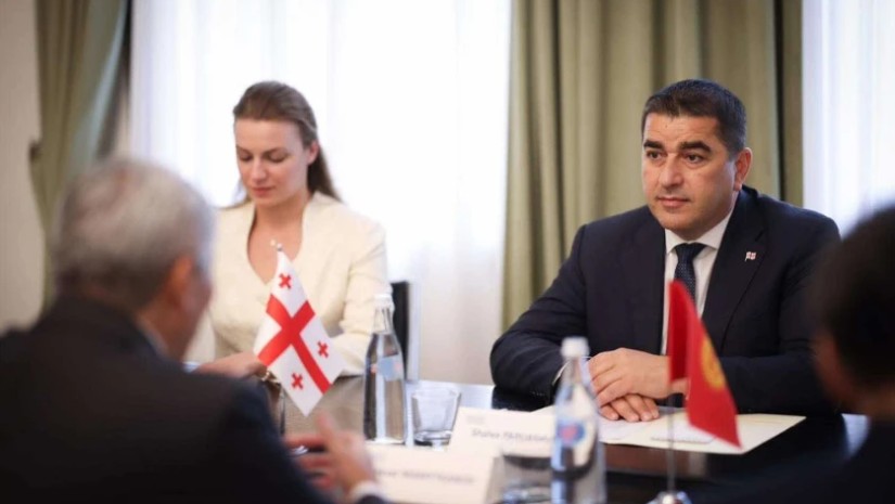 შალვა პაპუაშვილი