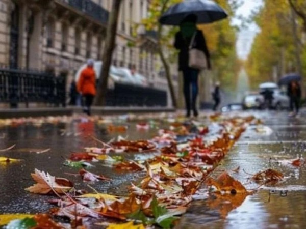 სექტემბრის ამინდი