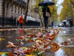 სექტემბრის ამინდი