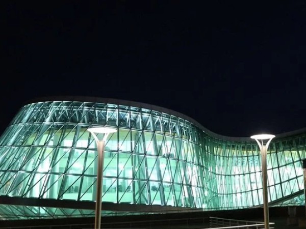 შსს ღამით