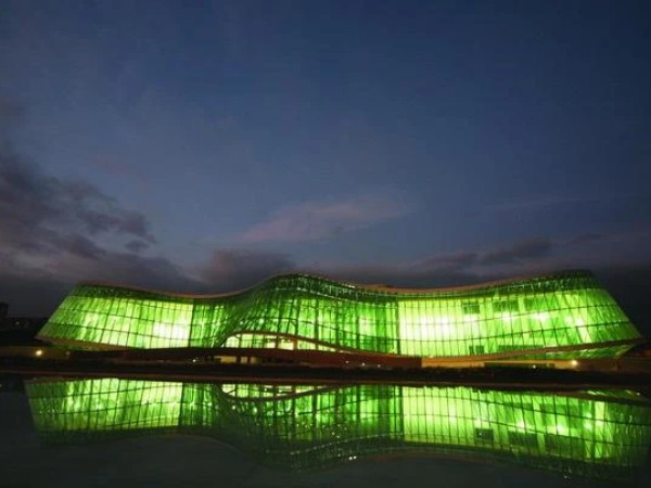 შსს ღამით