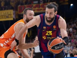 შენგელია შენგელია