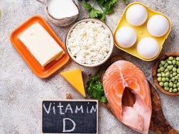 საკვები საკვები