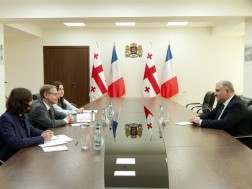 მიხეილ სარჯველაძე საფრანგეთის საგანგებო და სრულუფლებიან ელჩს შეხვდა