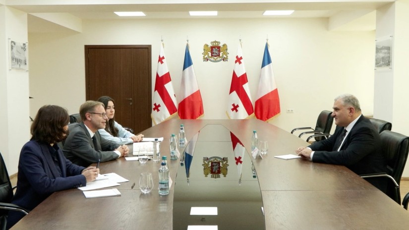 მიხეილ სარჯველაძე საფრანგეთის საგანგებო და სრულუფლებიან ელჩს შეხვდა