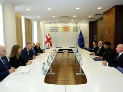 იუსტიციის მინისტრი ჰააგის სისხლის სამართლის საერთაშორისო სასამართლოს პროკურორის მოადგილეს შეხვდა