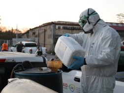 იმერეთში ფაროსანას საწინააღმდეგო ღონისძიებები მიმდინარეობს