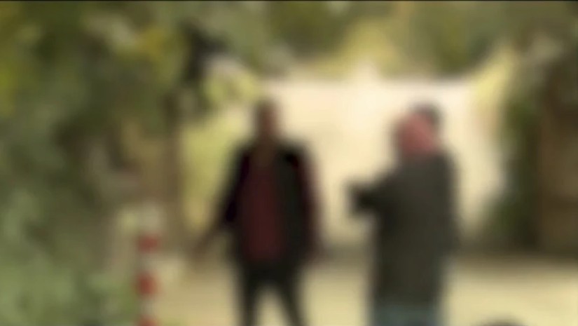 ძალადობა