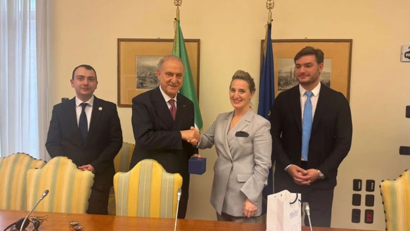 დელეგაცია დელეგაცია