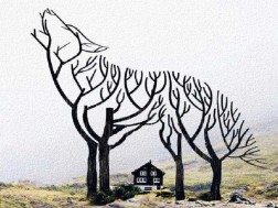 ტესტი ტესტი