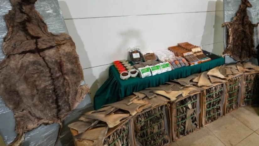 ვირის ტყავი