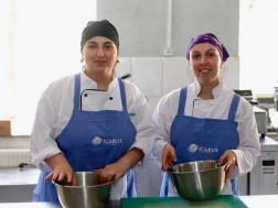 დასაქმება