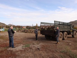უკანონო ხე-ტყე უკანონო ხე-ტყე