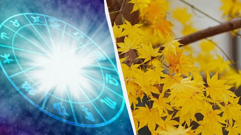 ნუმეროლოგია