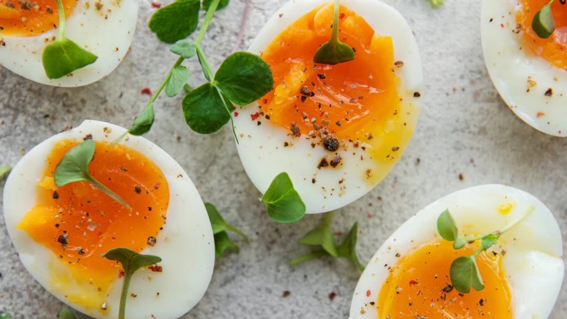 კვერცხი