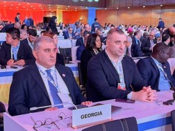  მიხეილ სარჯველაძემ, დოჰაში გამართულ, მსოფლიო სოციალურ სამიტში მიიღო მონაწილეობა