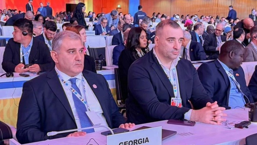  მიხეილ სარჯველაძემ, დოჰაში გამართულ, მსოფლიო სოციალურ სამიტში მიიღო მონაწილეობა