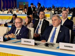 მიხეილ სარჯველაძემ დოჰაში, მრგვალი მაგიდის ფორმატში საქართველოს მიერ განხორციელებულ სოციალურ პოლიტიკასა და მიღწევებზე, სიღარიბის შემცირების, შრომის ბაზრის გაძლიერებისა და სოციალური დაცვის სისტემის განვითარებაზე ისაუბრა