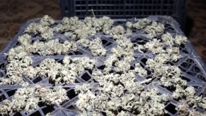 ნარკოტიკული საშუალები