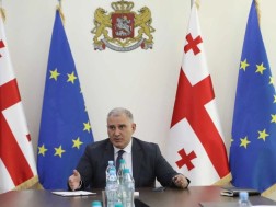 მიხეილ სარჯველაძე