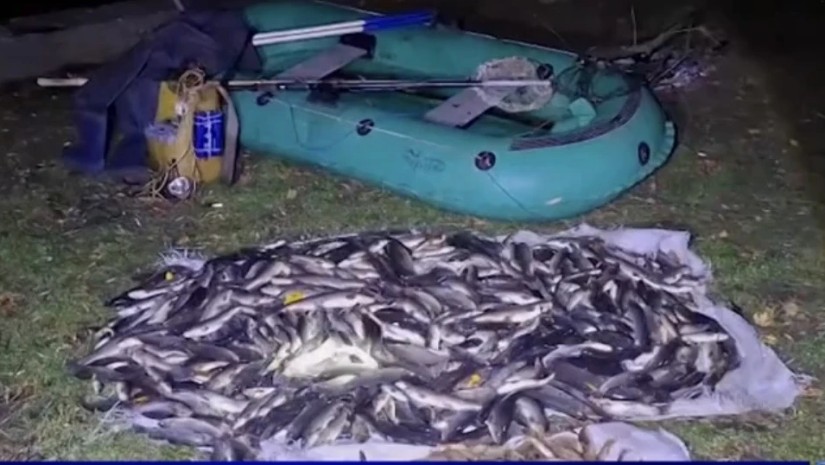 თევზჭერა