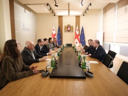 გივი მიქანაძე  თბილისის საკრებულოს განათლებისა და კულტურის კომისიის წევრებს შეხვდა