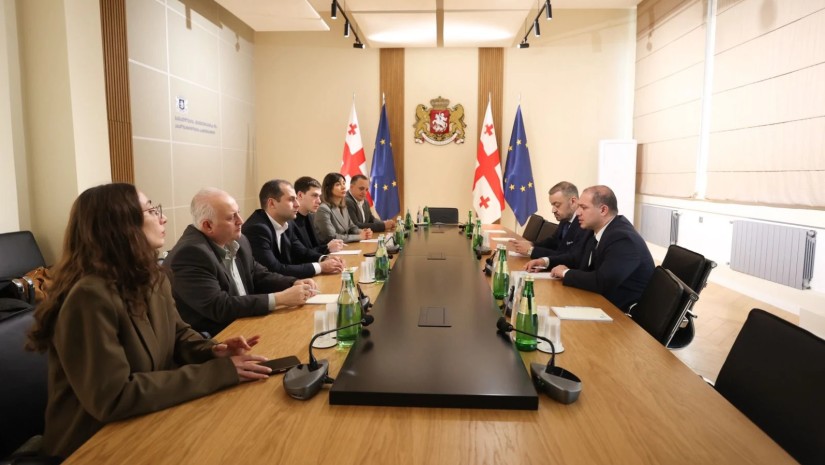 გივი მიქანაძე  თბილისის საკრებულოს განათლებისა და კულტურის კომისიის წევრებს შეხვდა