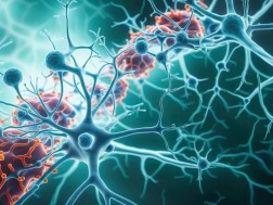 თაგვებში ალცჰაიმერის დაავადება რამდენიმე საათში უკუაქციეს