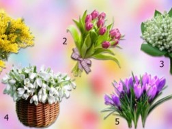 ყვავილები