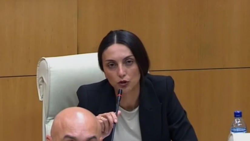 ვიკა ფილფანი