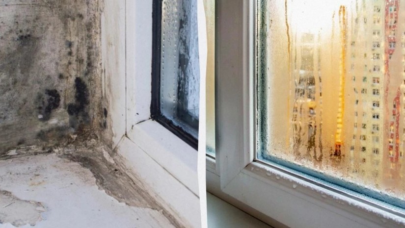 ფანჯარა