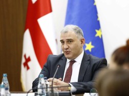 მიხეილ სარჯველაძე