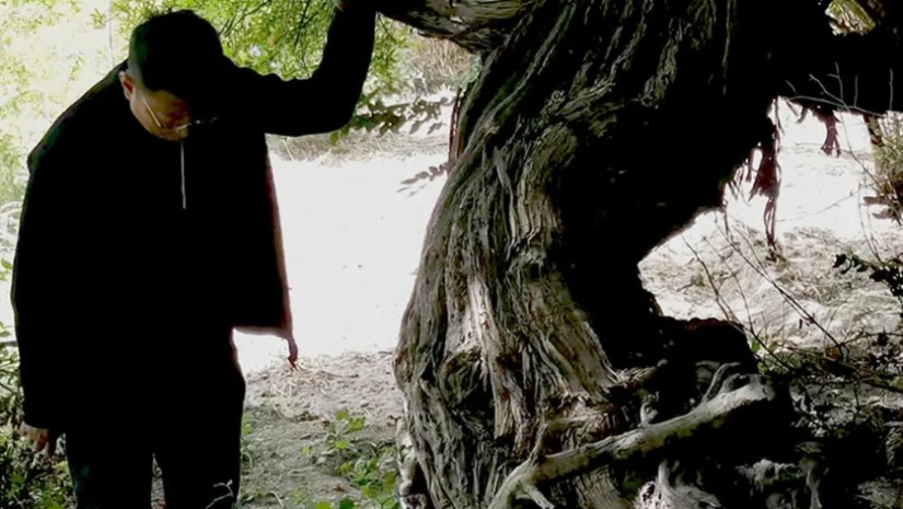 ტიბეტში აღმოჩენილი ვაზი