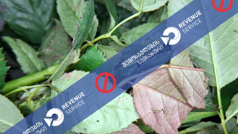 დაზიანებული მოჭრილი ყვავილები